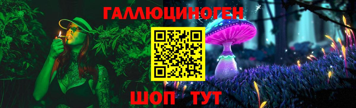 Галлюциногенные грибы Psilocybe Видное